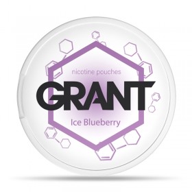 Nikotiinipadjad GARANT ICE BLUEBERRY