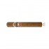 Sigar Ashton Cabinet #6